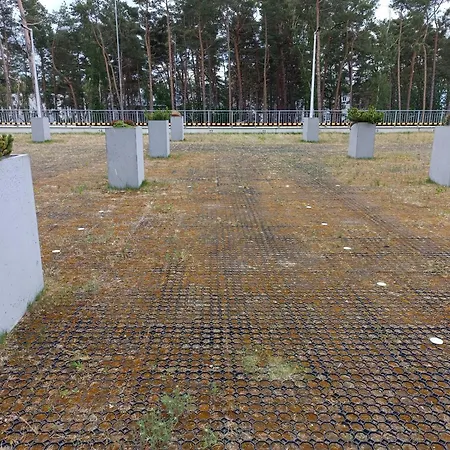 512 * דז'יבנובק